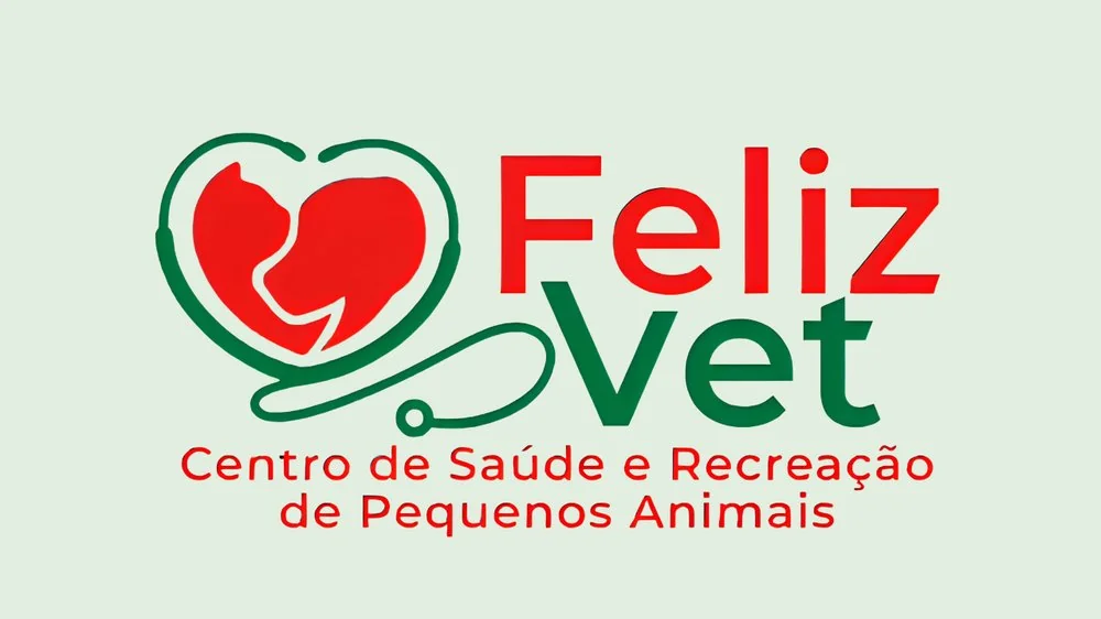 Antes do branding — logo genérico Feliz Vet