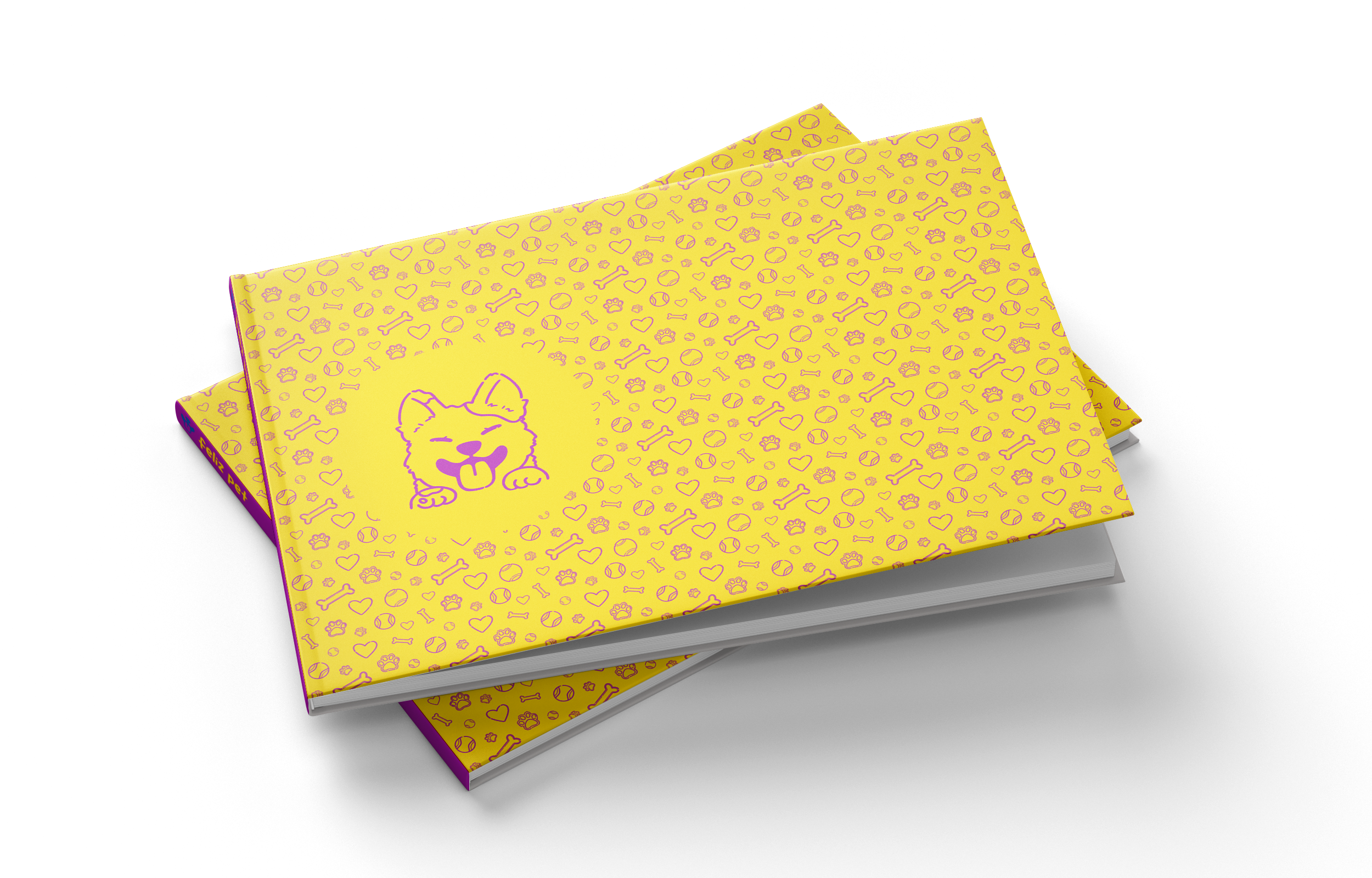 Identidade visual OZKAN aplicada em capa de livro